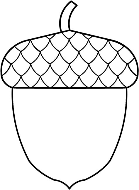 acorn coloring pages free printable